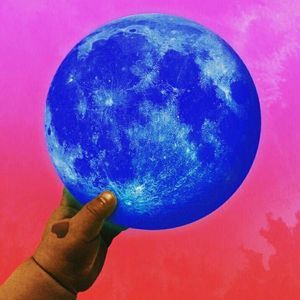 Meet your Posher, Shawn